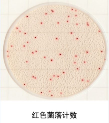 圖片77.png