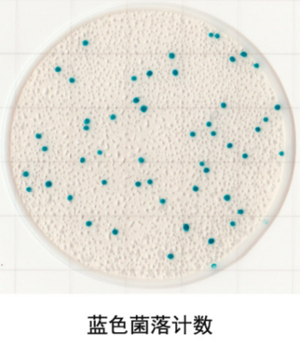 圖片78.png