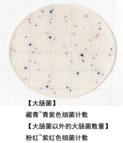 圖片79.png